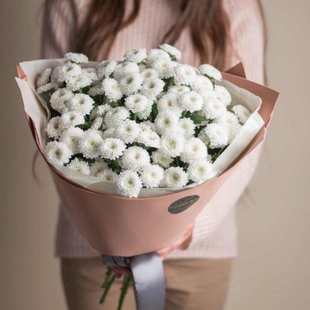 Хризантемы Кокос